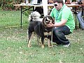 img 160